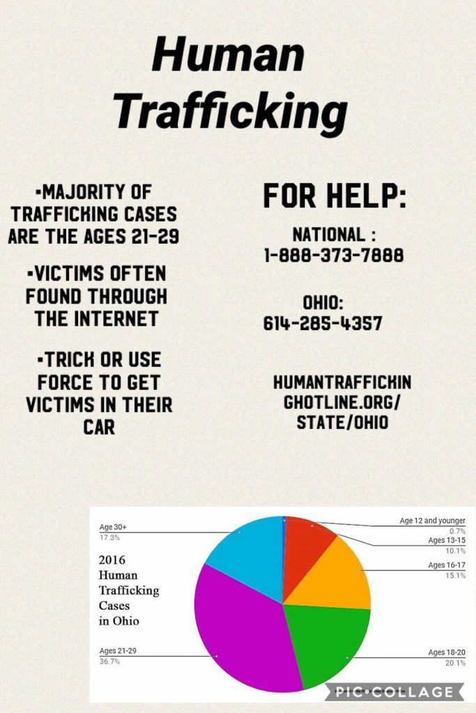 human trafficking pie chart