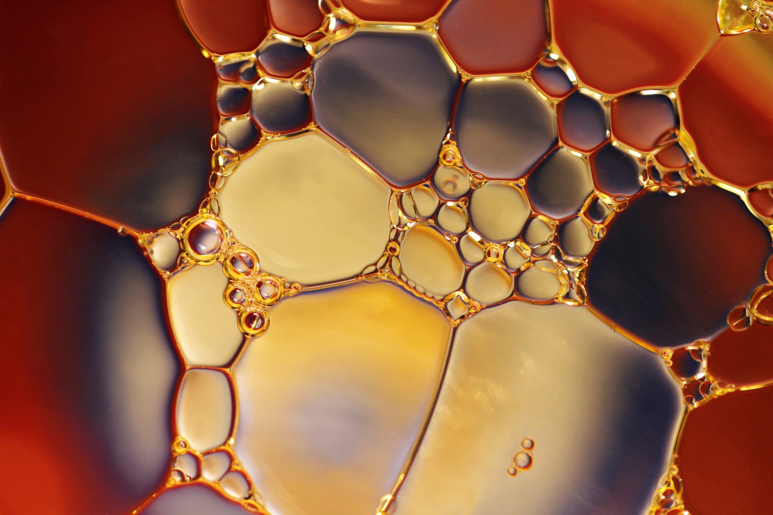 close up of bubbly oil