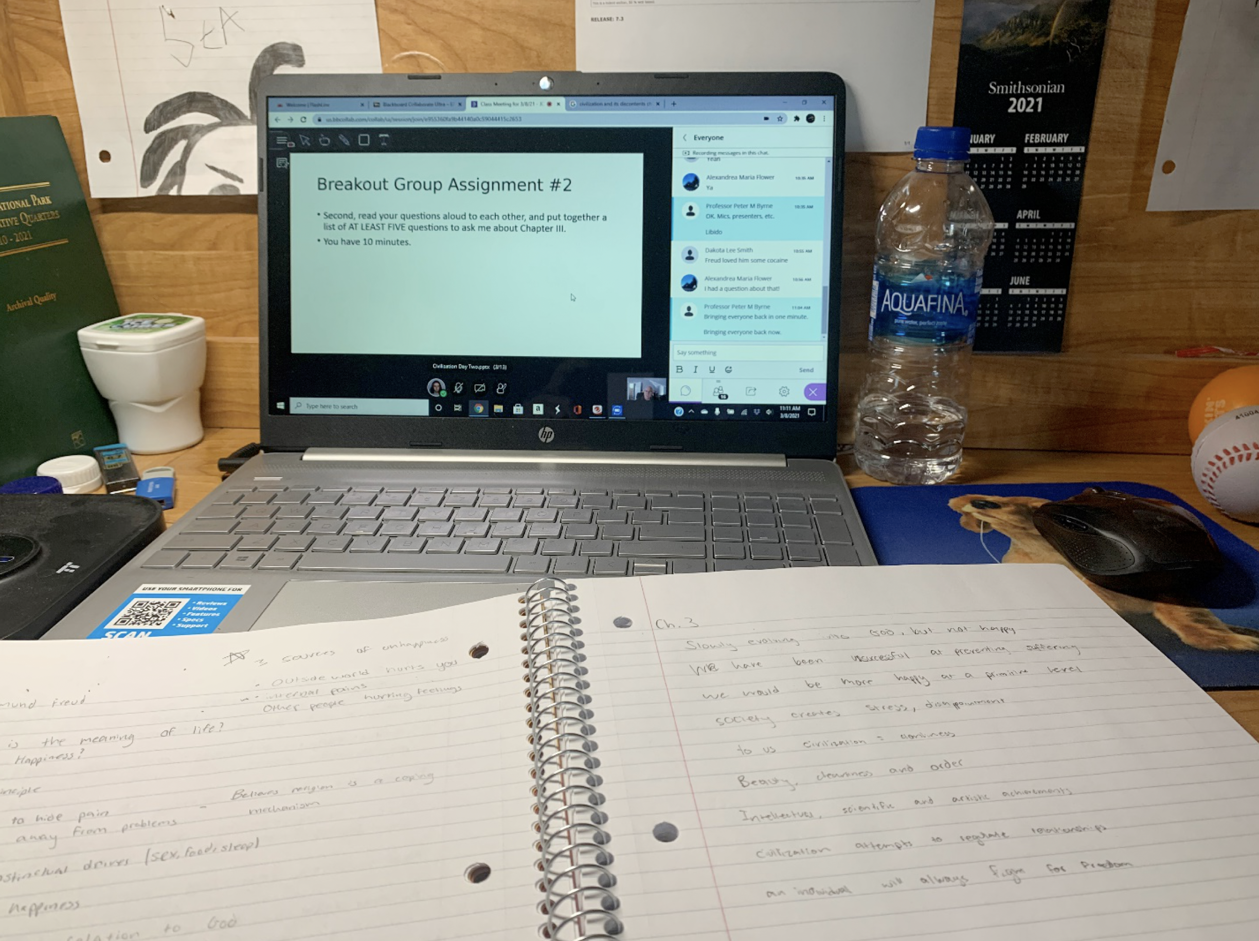 laptop and notebook on a desk with plants, a baseball, and a bottle of water, in an online class meeting