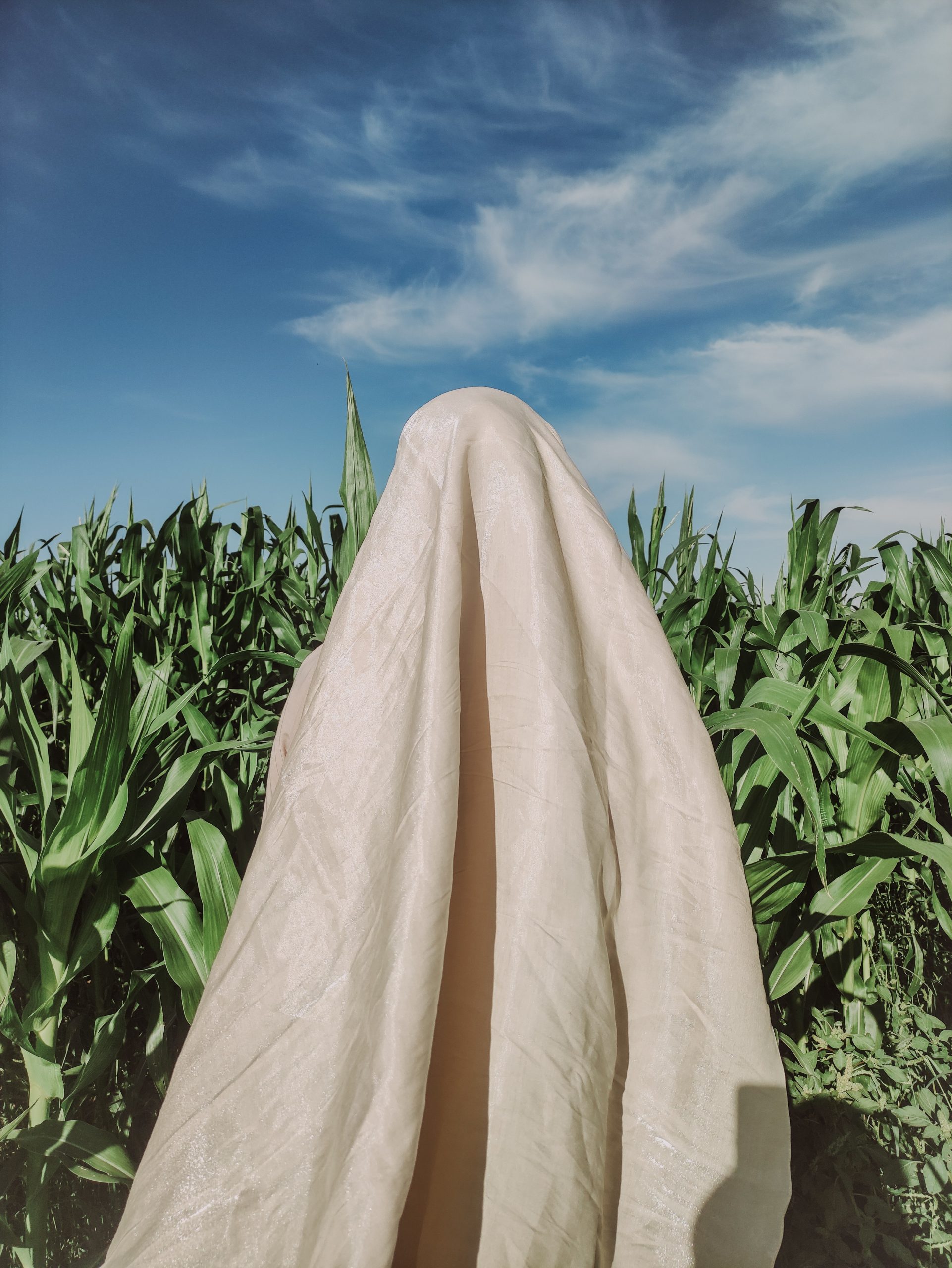 person under sheet in corn field